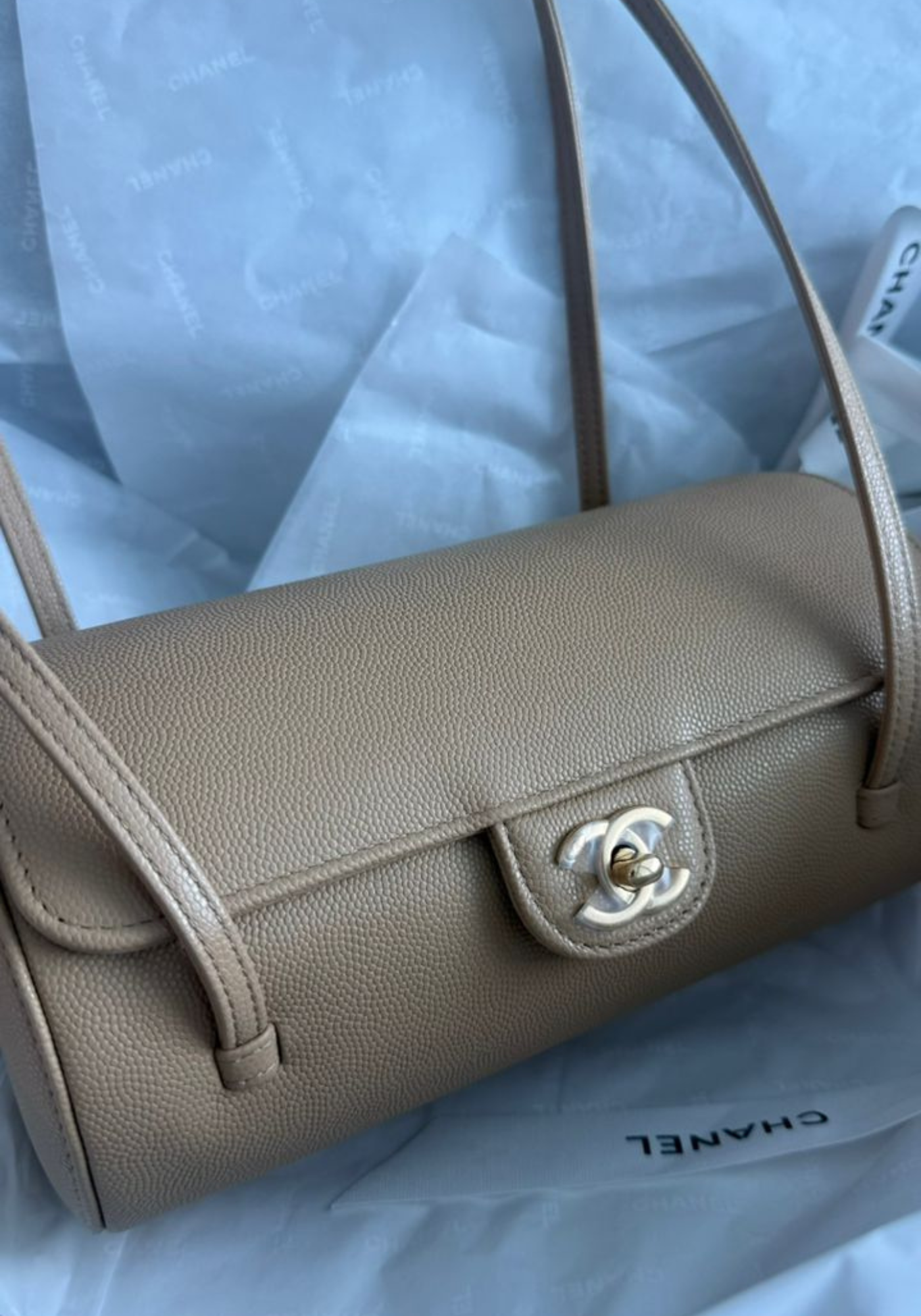 BRAND NEW - Chanel Preppy Coco Beige Bag