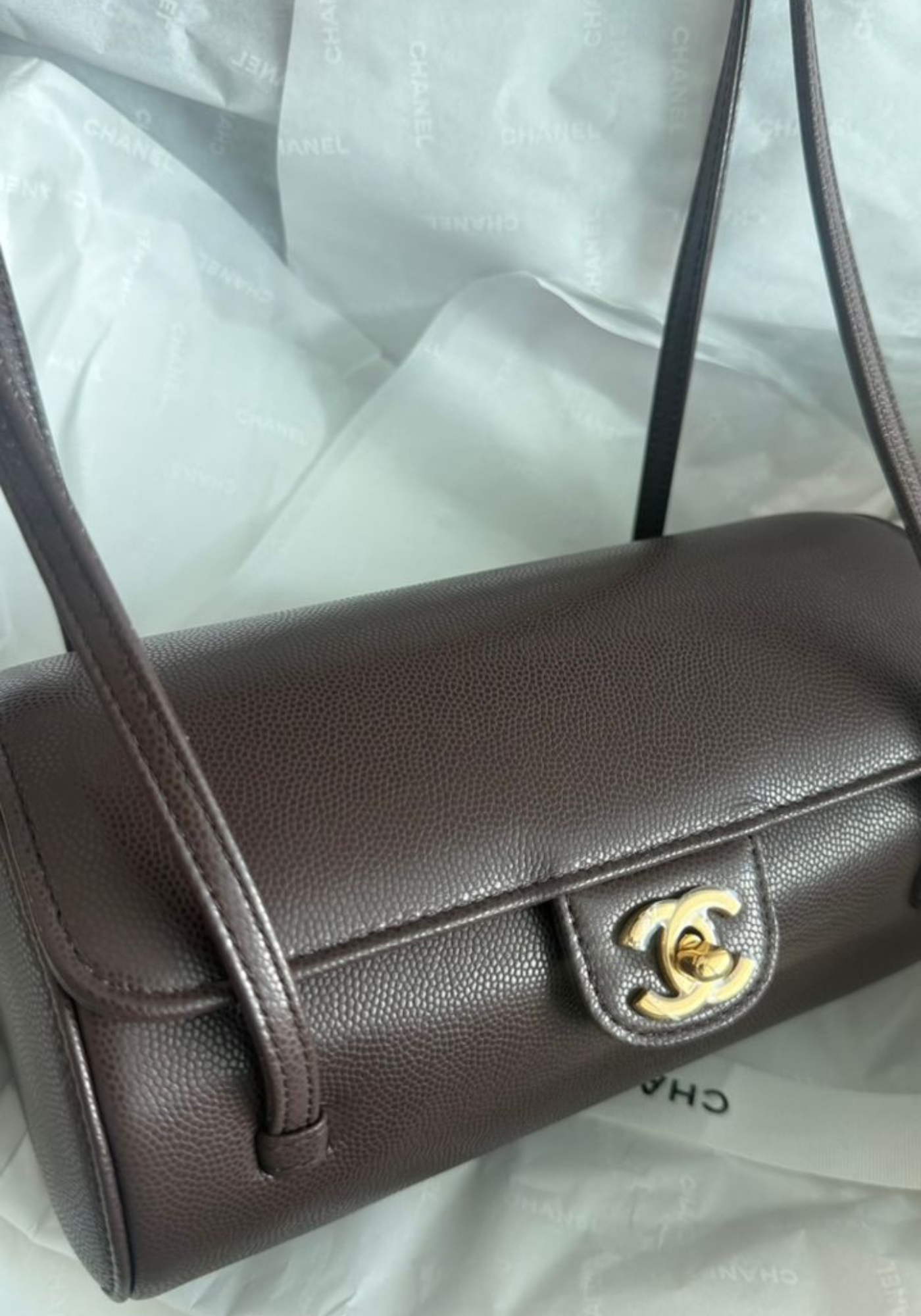BRAND NEW - Chanel Preppy Coco Brown Bag