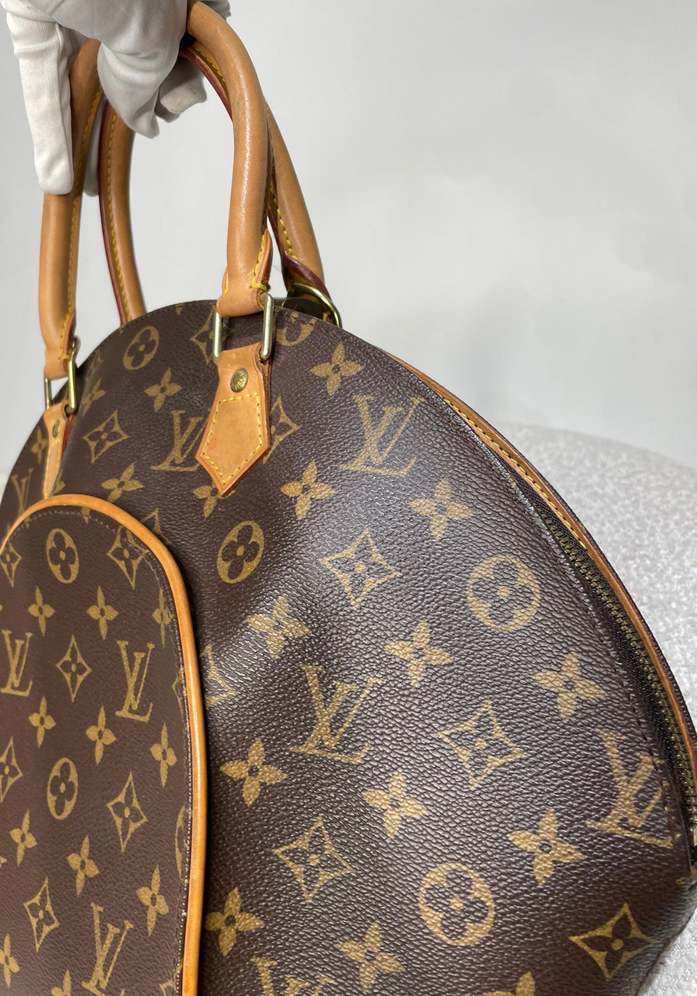 Ellipse Bag