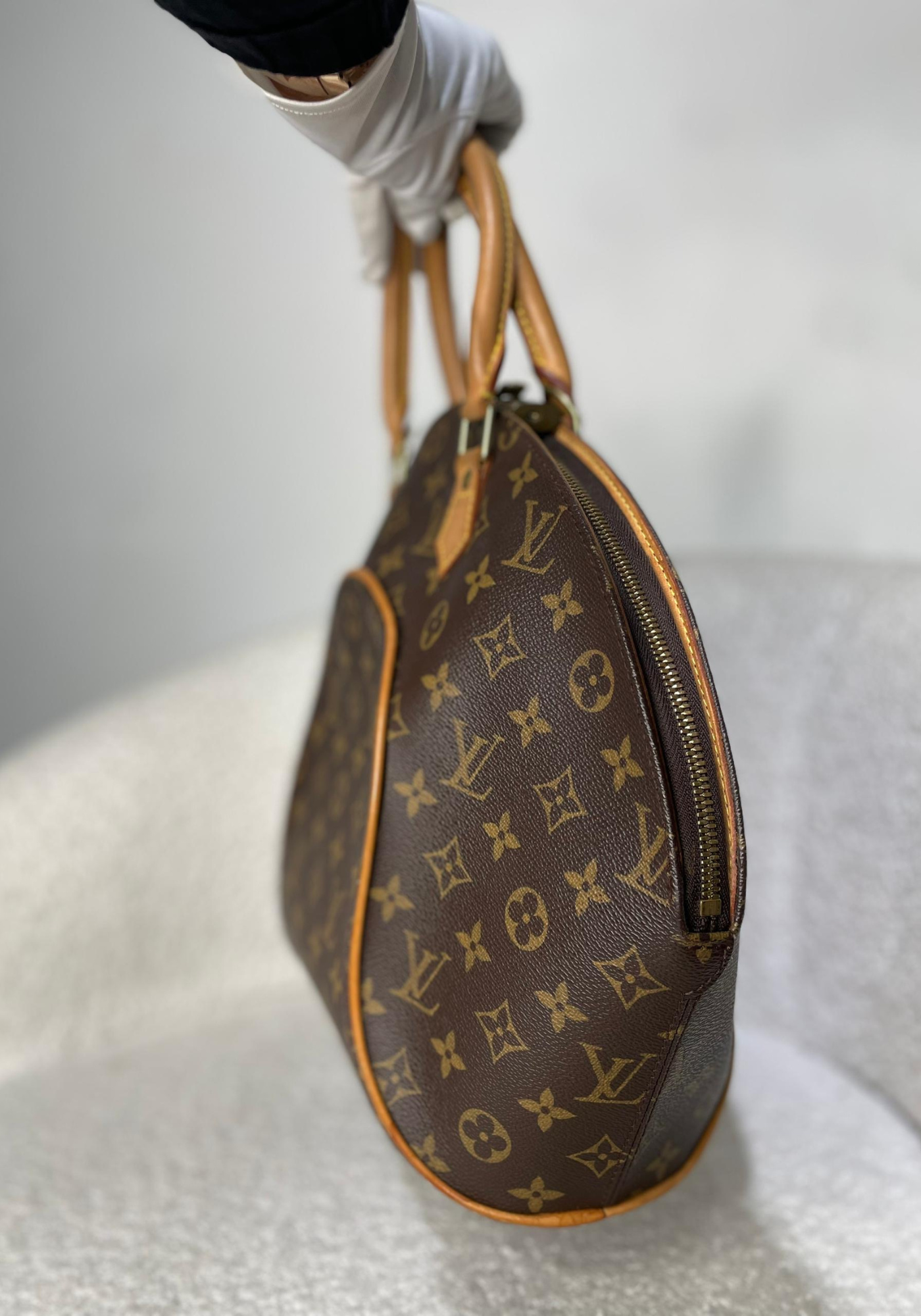 Ellipse Bag