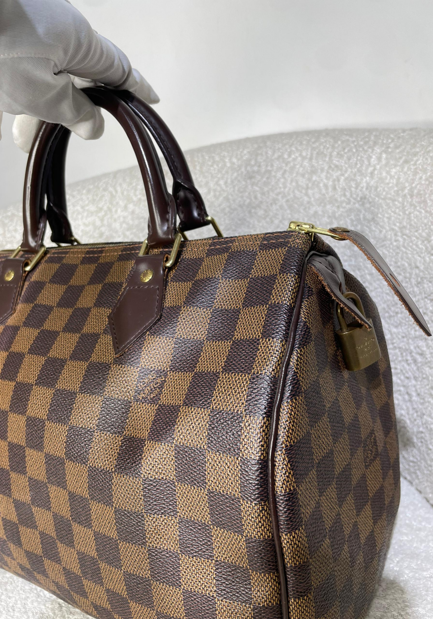 Speedy Damier Bag