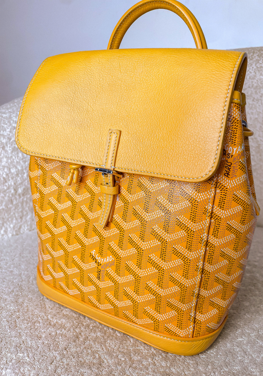 Alpin Mini Backpack