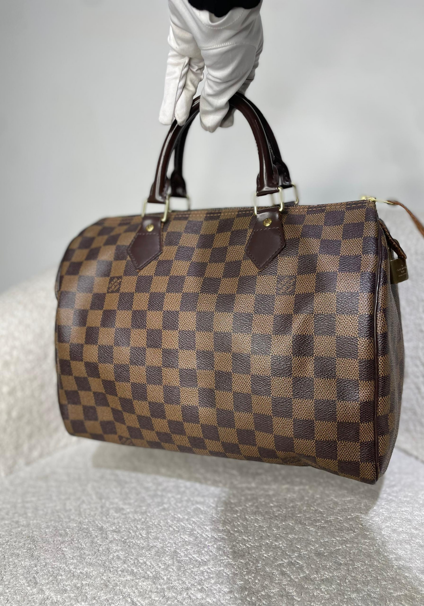 Speedy Damier Bag