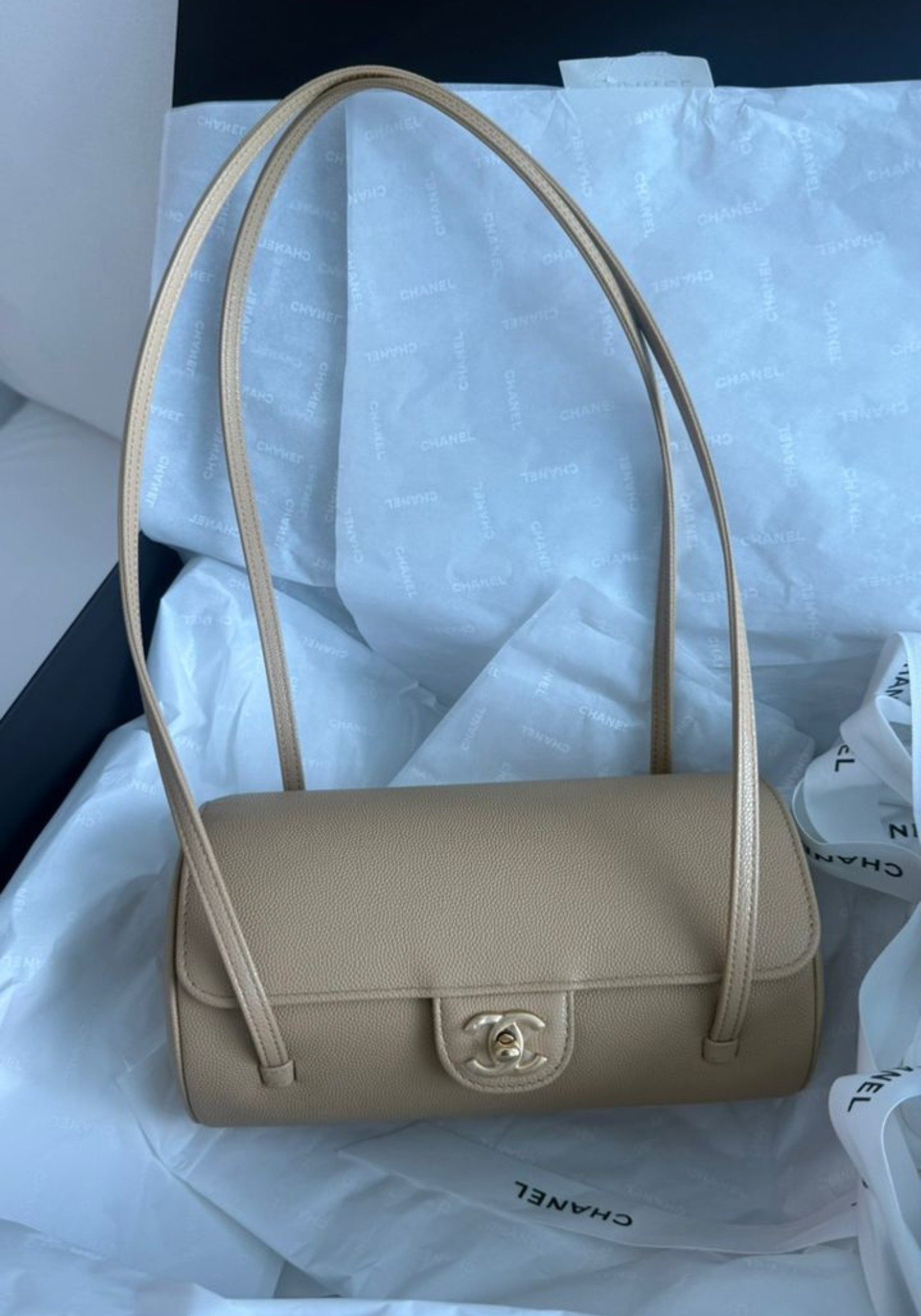 BRAND NEW - Chanel Preppy Coco Beige Bag