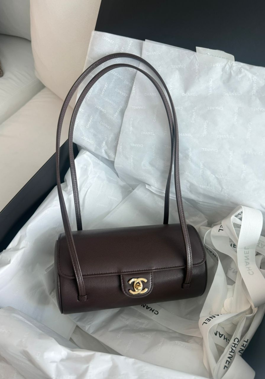 BRAND NEW - Chanel Preppy Coco Brown Bag