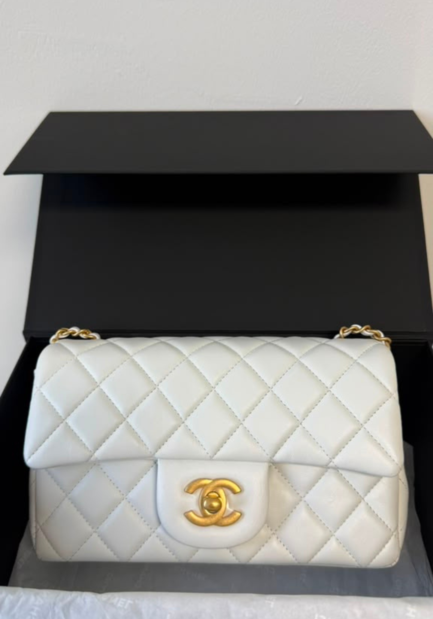 BRAND NEW - Flap Mini Bag
