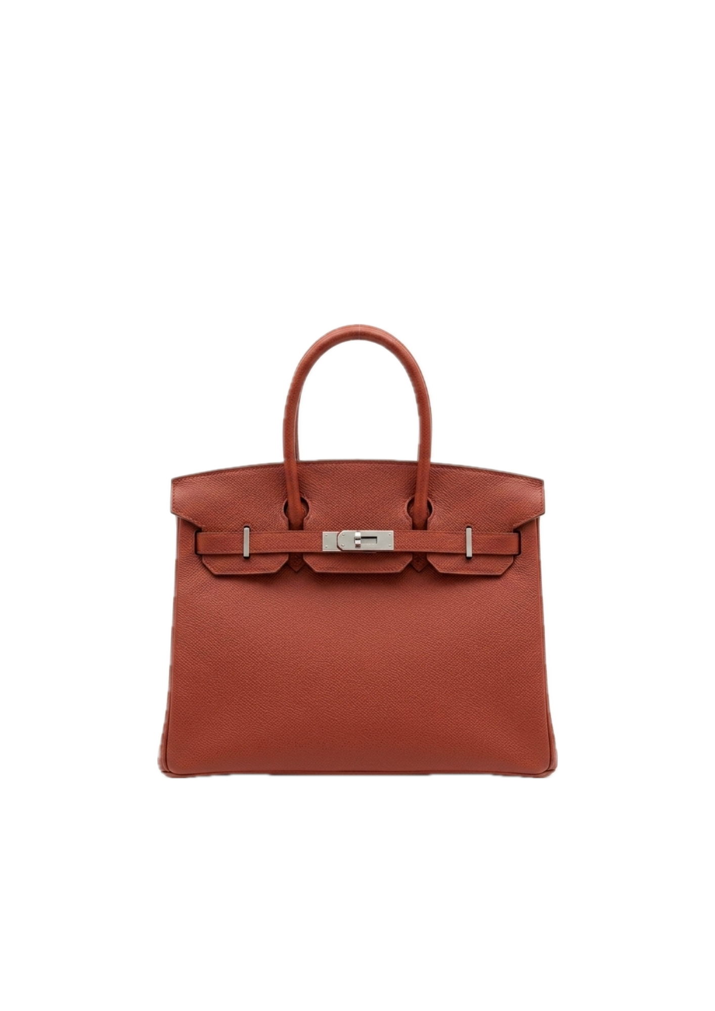 Birkin 25 Bag