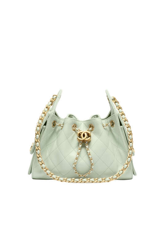Mini 25 Hobo Bag
