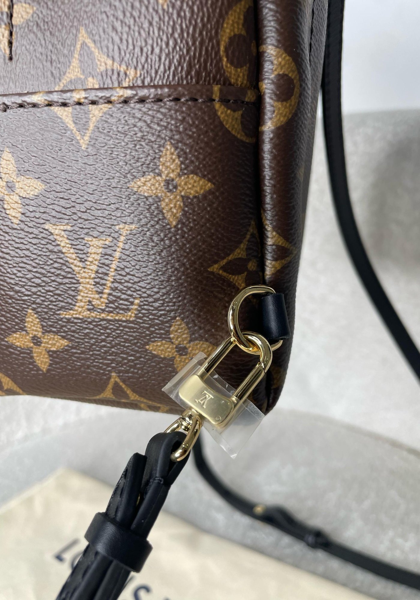 Palm Spring Mini Monogram Bag